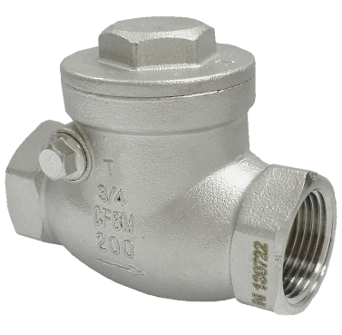 Threaded SS316 swing check valve with a screw-on cap and female tapered threads